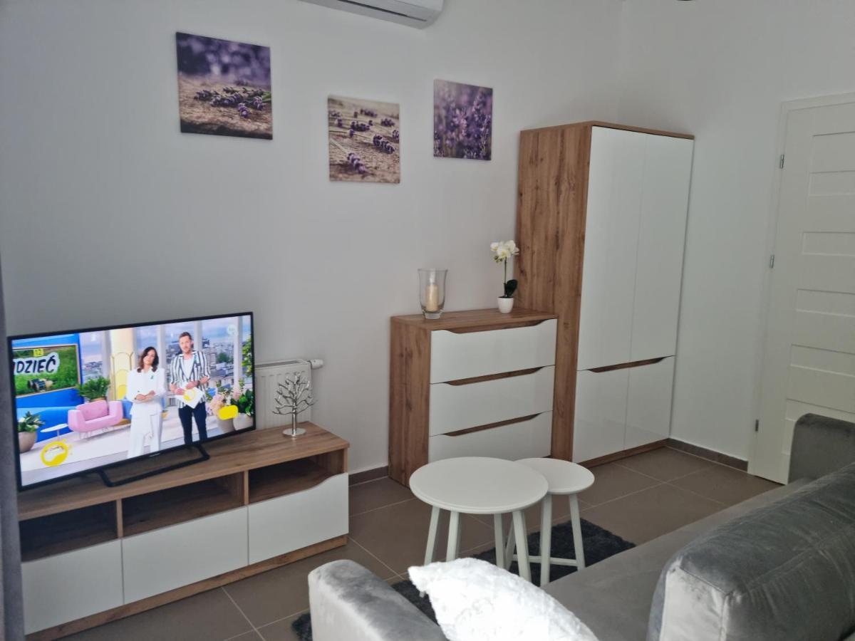 Apartment Apartamenty Wiselka Wiselka