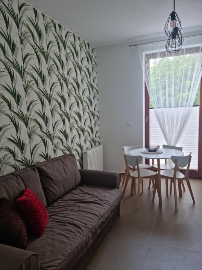 Apartment Apartamenty Wiselka Wiselka