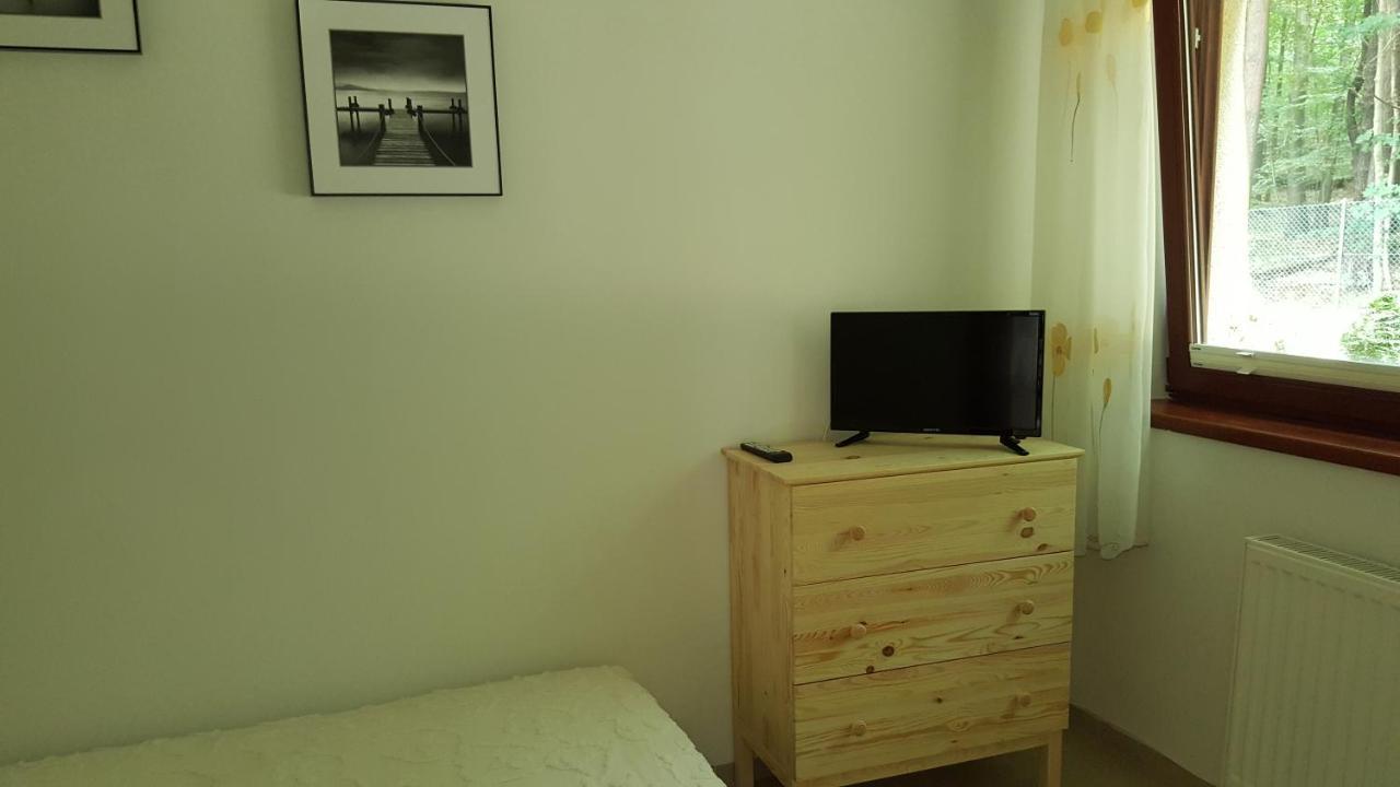 Apartment Apartamenty Wiselka Wiselka
